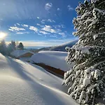 Heidi Falkertsee - Luxuschalet Bergwinter شاليه Patergassen