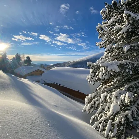 Heidi Falkert Heidialm - Bergwinter 木屋 Patergassen