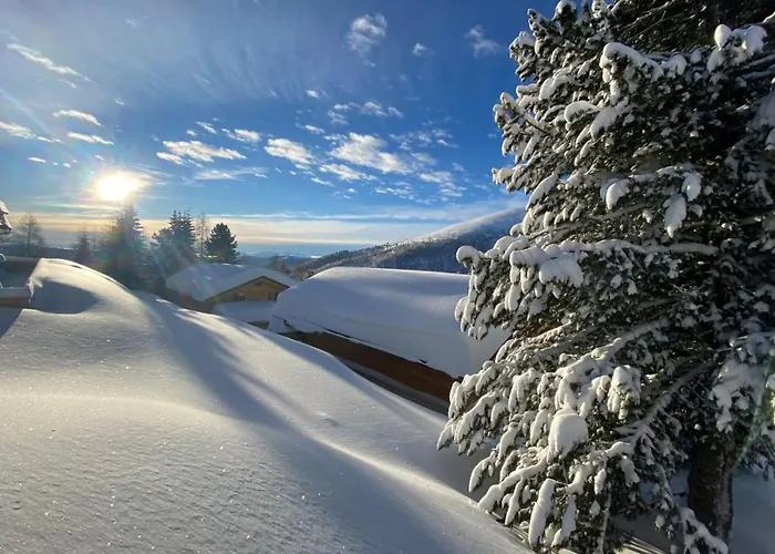 Heidi Falkertsee - Luxuschalet Bergwinter Chalet Patergassen